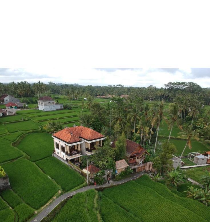 Ubud Sawah Scenery Villa And Homestay Tegallalang  Buitenkant foto