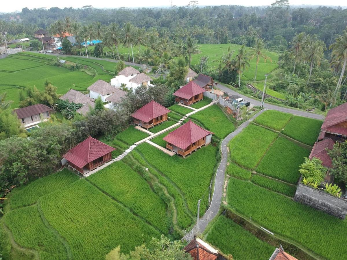 Ubud Sawah Scenery Villa And Homestay Tegallalang  Buitenkant foto