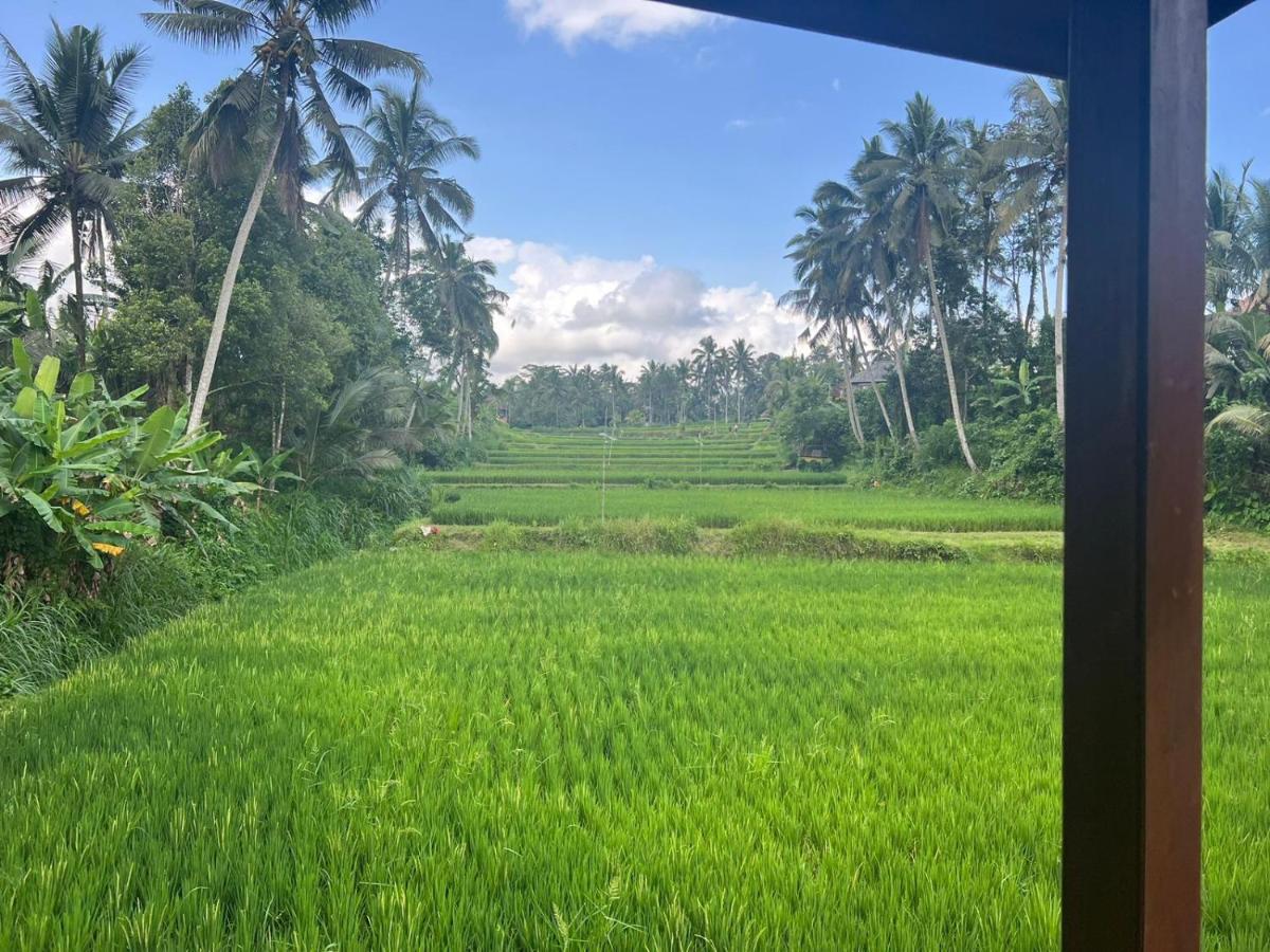 Ubud Sawah Scenery Villa And Homestay Tegallalang  Buitenkant foto