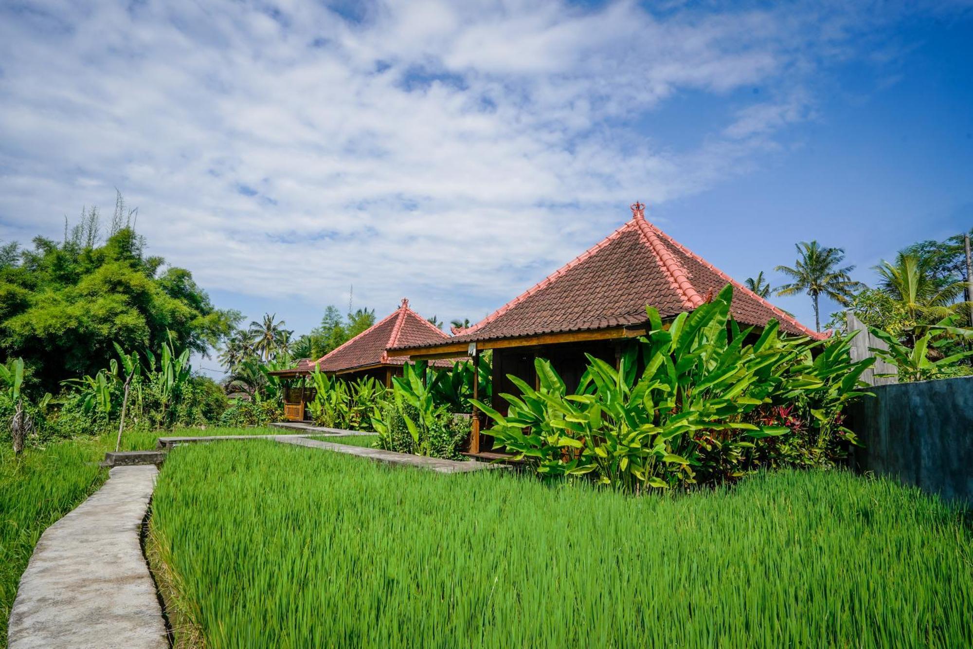 Ubud Sawah Scenery Villa And Homestay Tegallalang  Buitenkant foto