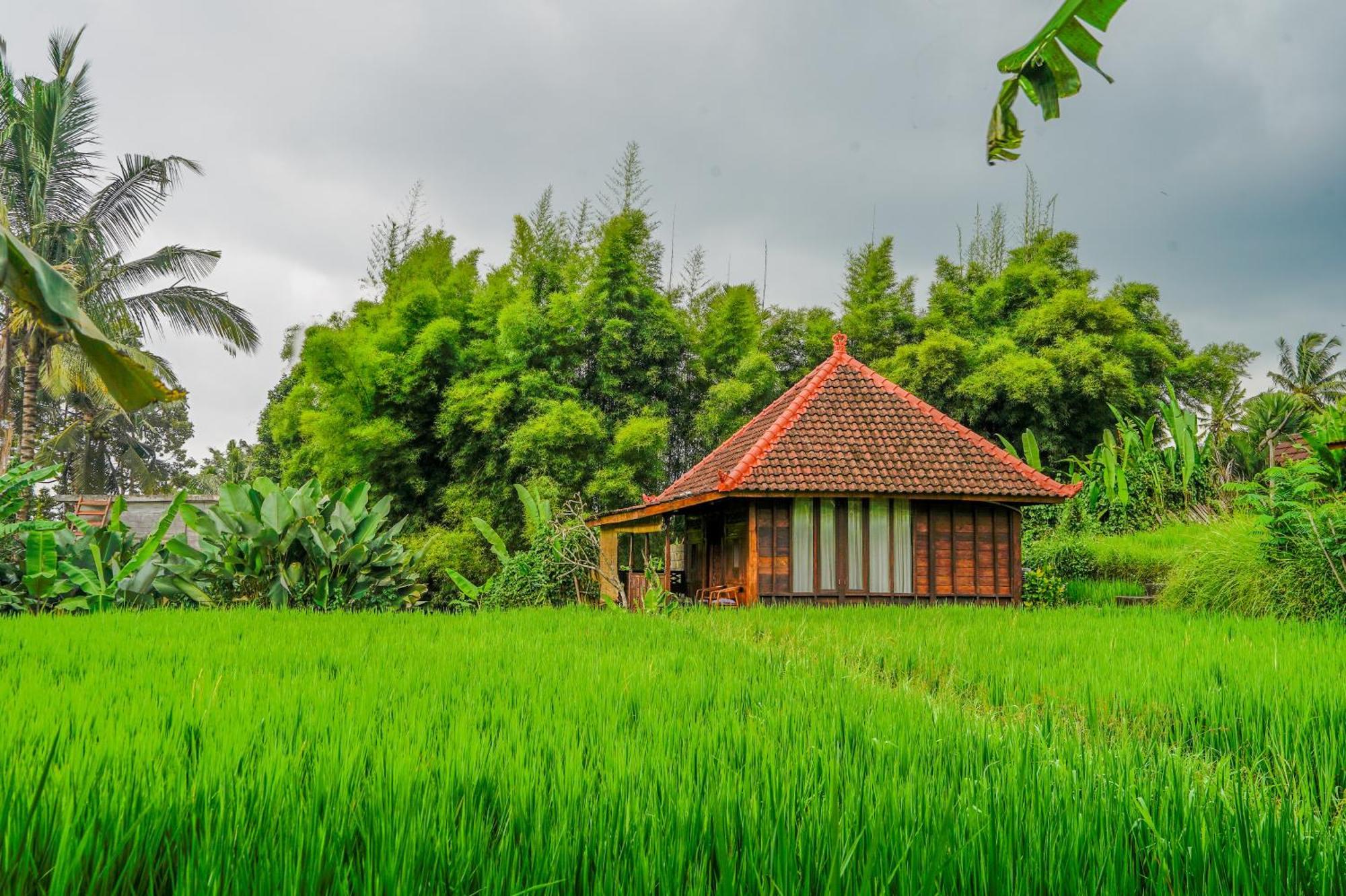 Ubud Sawah Scenery Villa And Homestay Tegallalang  Buitenkant foto