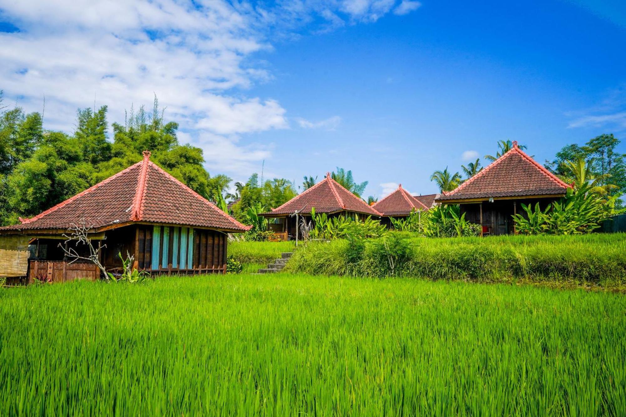 Ubud Sawah Scenery Villa And Homestay Tegallalang  Buitenkant foto