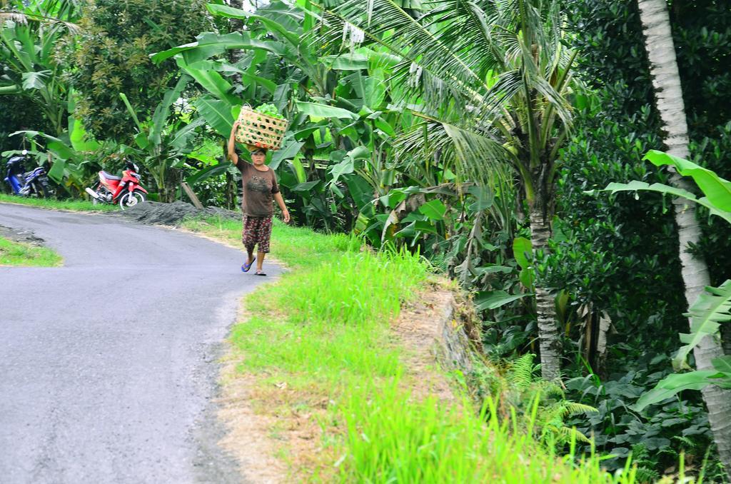 Ubud Sawah Scenery Villa And Homestay Tegallalang  Buitenkant foto