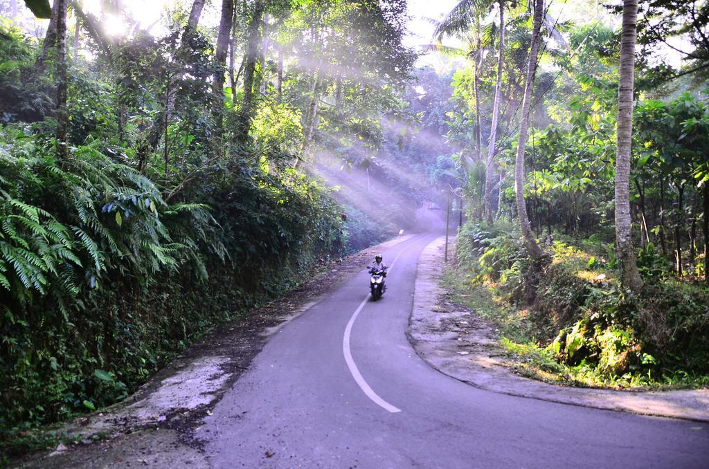 Ubud Sawah Scenery Villa And Homestay Tegallalang  Buitenkant foto