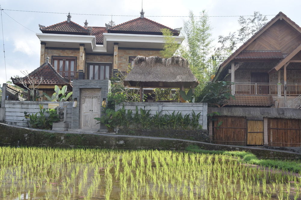 Ubud Sawah Scenery Villa And Homestay Tegallalang  Buitenkant foto