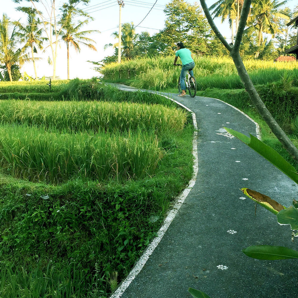 Ubud Sawah Scenery Villa And Homestay Tegallalang  Buitenkant foto