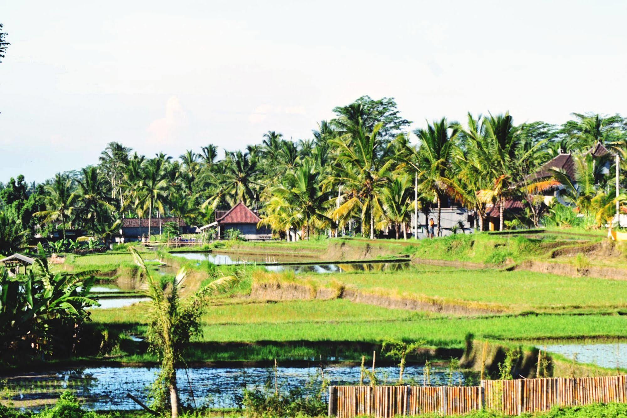 Ubud Sawah Scenery Villa And Homestay Tegallalang  Buitenkant foto