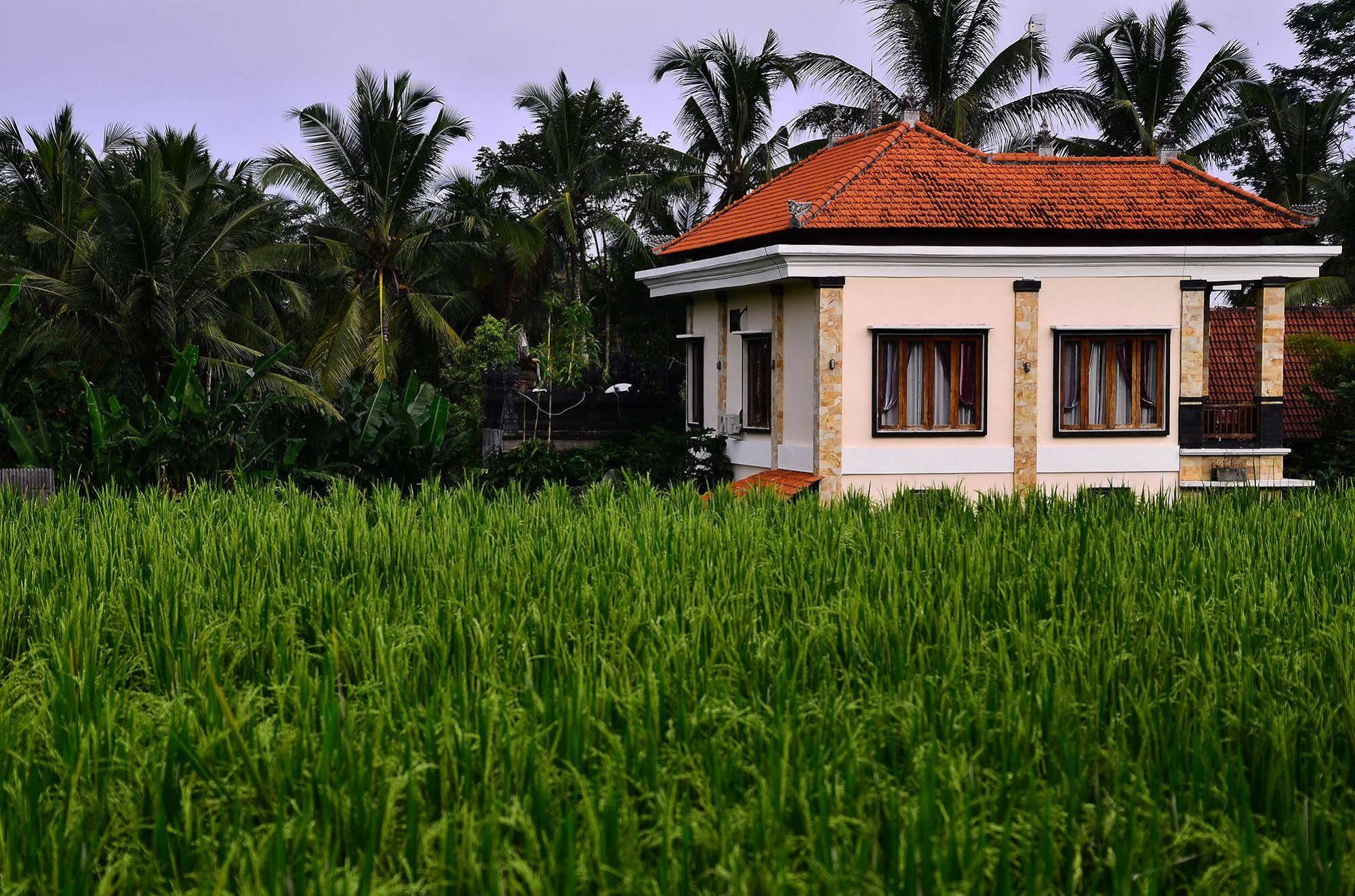 Ubud Sawah Scenery Villa And Homestay Tegallalang  Buitenkant foto