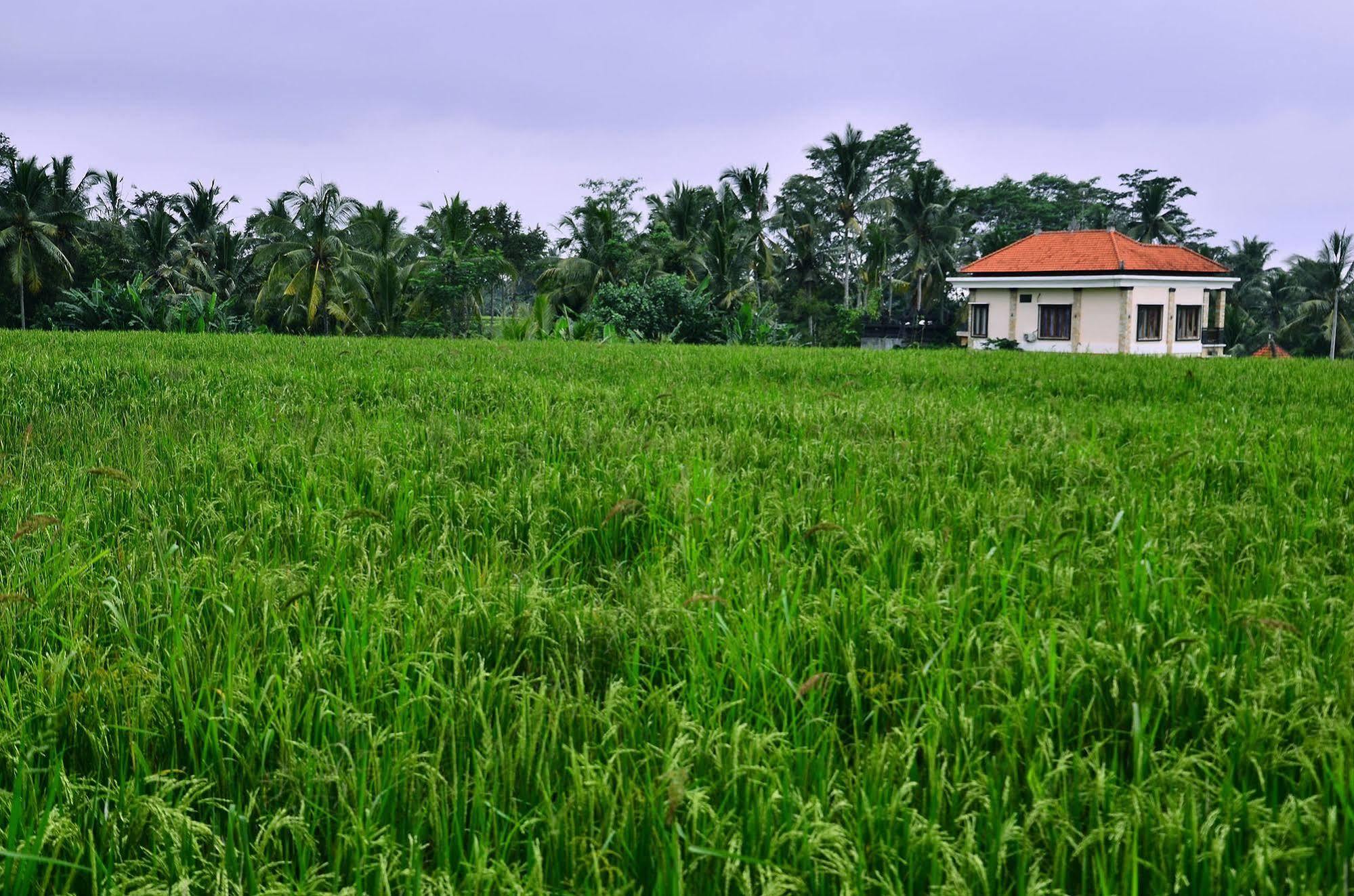 Ubud Sawah Scenery Villa And Homestay Tegallalang  Buitenkant foto