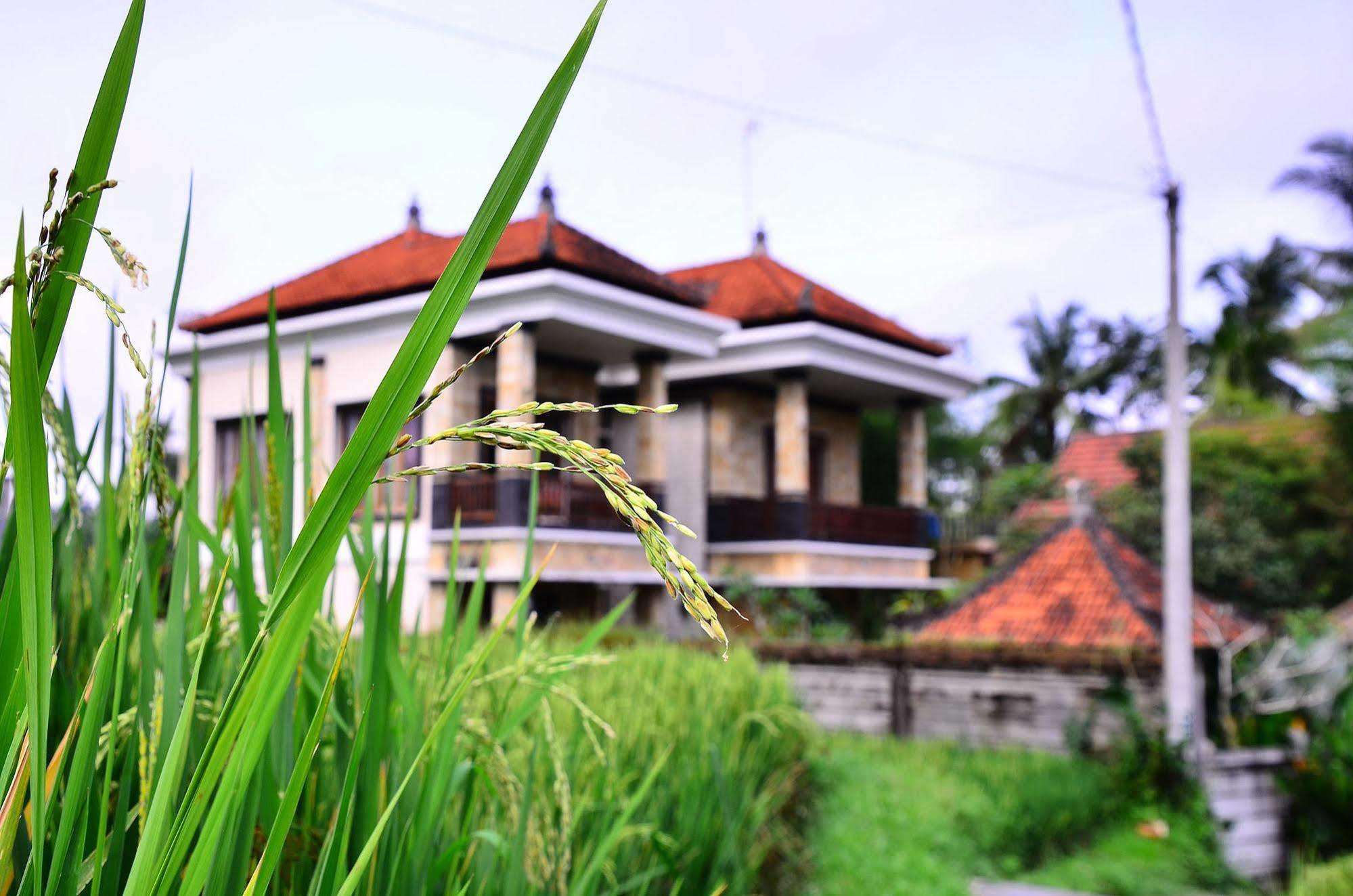 Ubud Sawah Scenery Villa And Homestay Tegallalang  Buitenkant foto