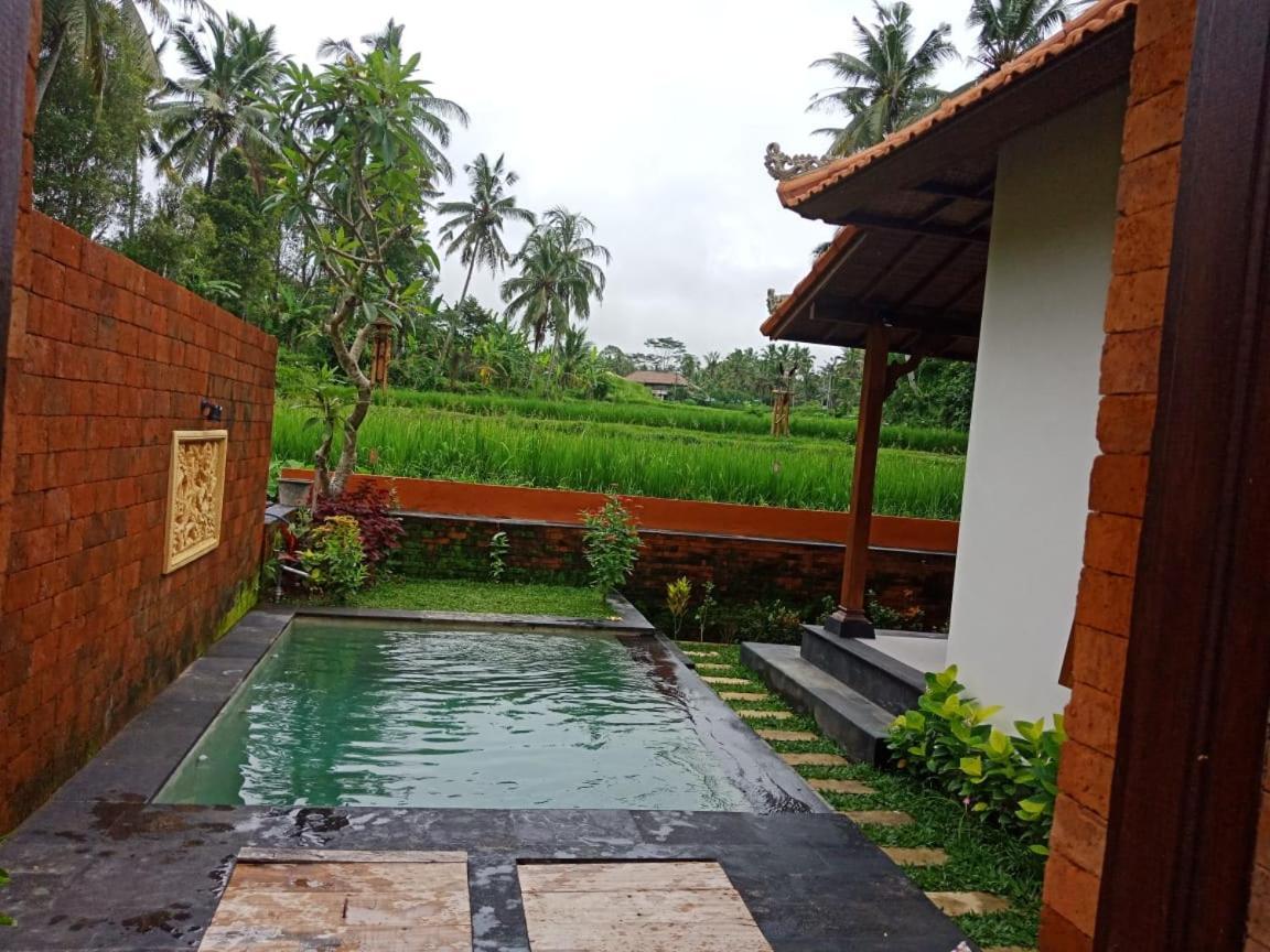 Ubud Sawah Scenery Villa And Homestay Tegallalang  Buitenkant foto