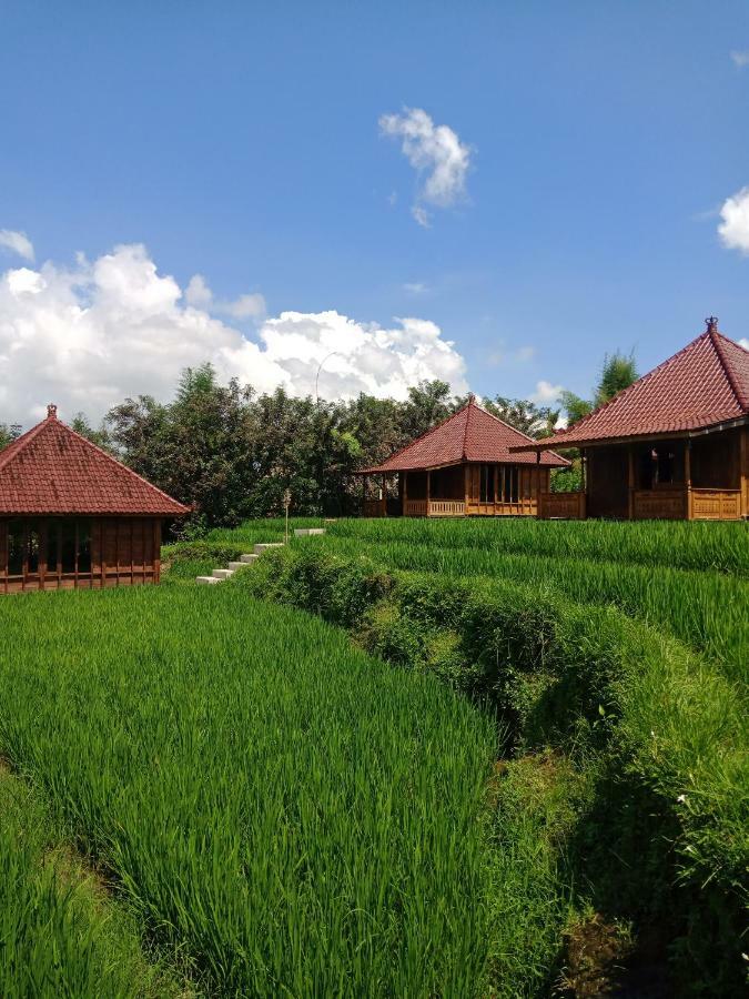 Ubud Sawah Scenery Villa And Homestay Tegallalang  Buitenkant foto