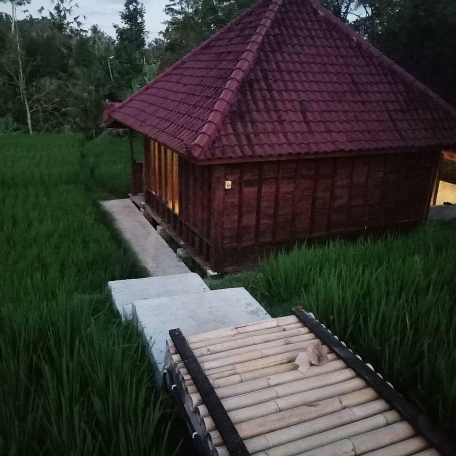 Ubud Sawah Scenery Villa And Homestay Tegallalang  Buitenkant foto